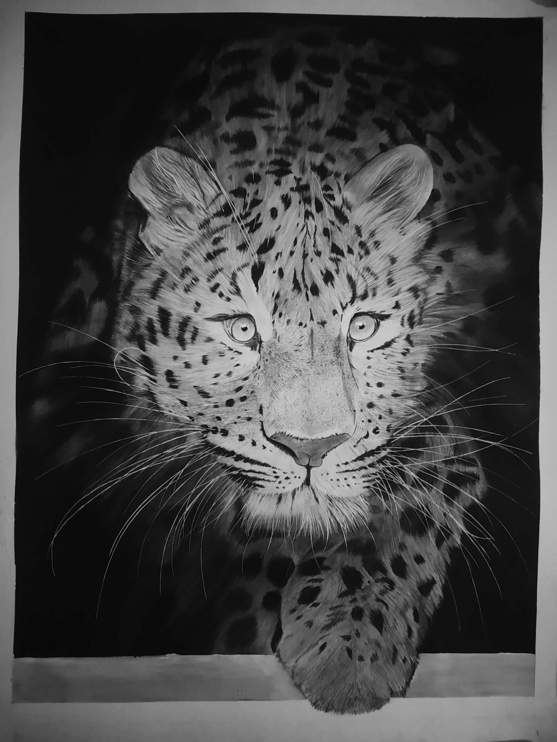 charcoal2 charcoal2